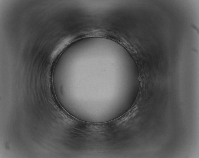 X0000098100341200804251410