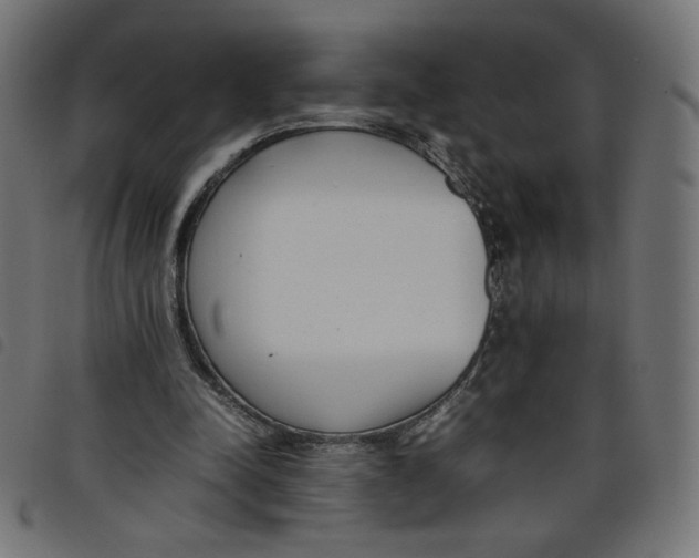 X0000098100342200804251410