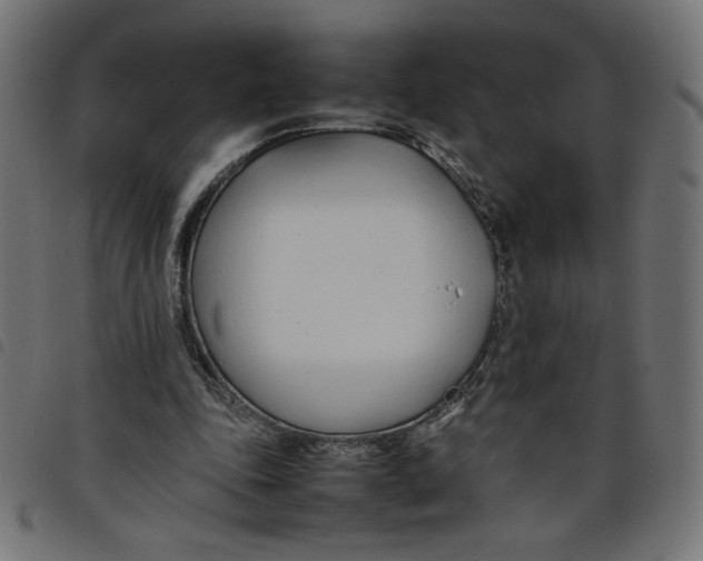 X0000098100343200804251410