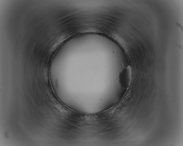X0000098100345200804251410