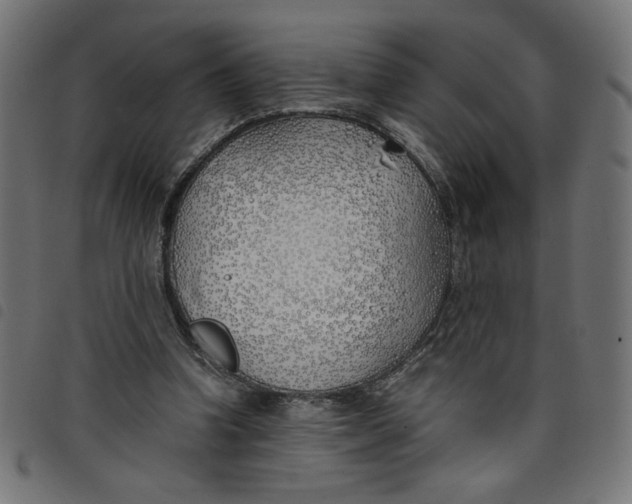 X0000098100346200804251410