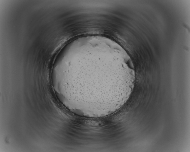 X0000098100347200804251410