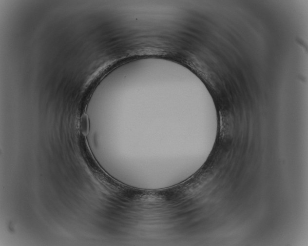 X0000098100348200804251410