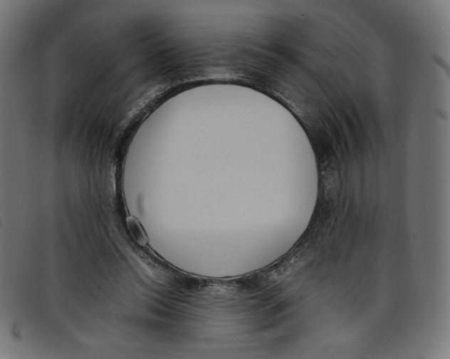 X0000098100350200804251410