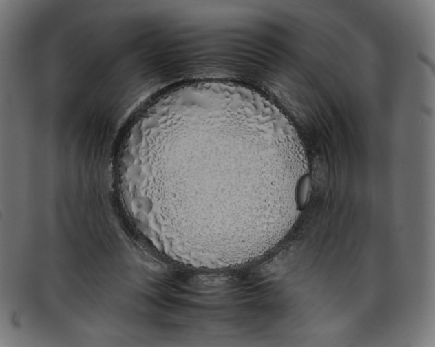 X0000098100351200804251410