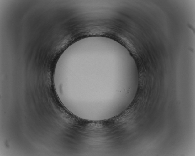 X0000098100354200804251410