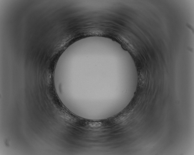 X0000098100355200804251410