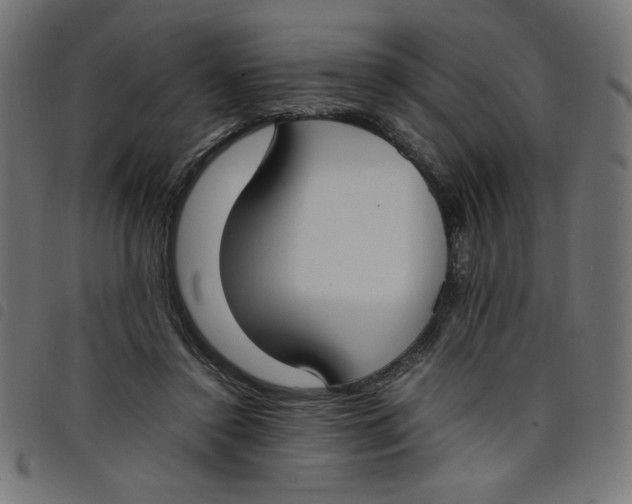 X0000098100356200804251410