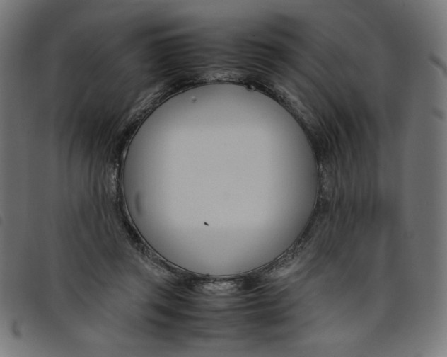 X0000098100357200804251410