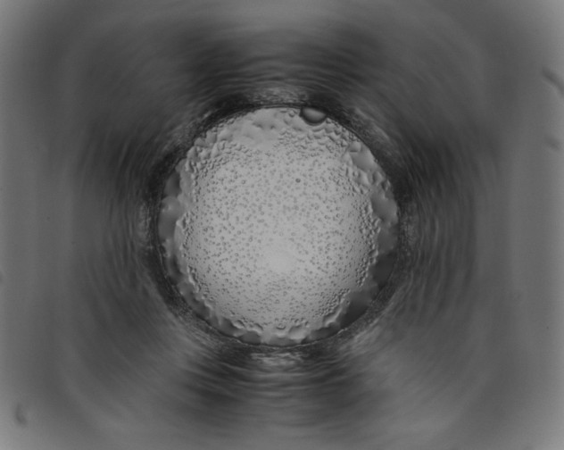 X0000098100359200804251410