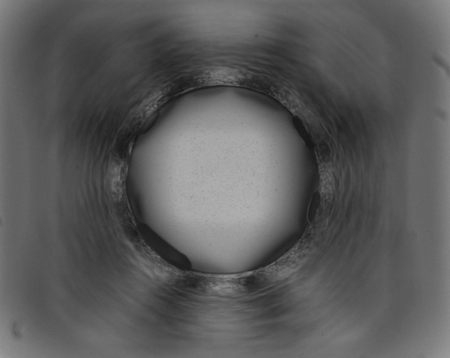 X0000098100360200804251410