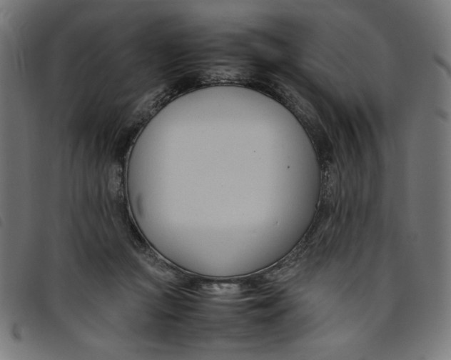 X0000098100361200804251410