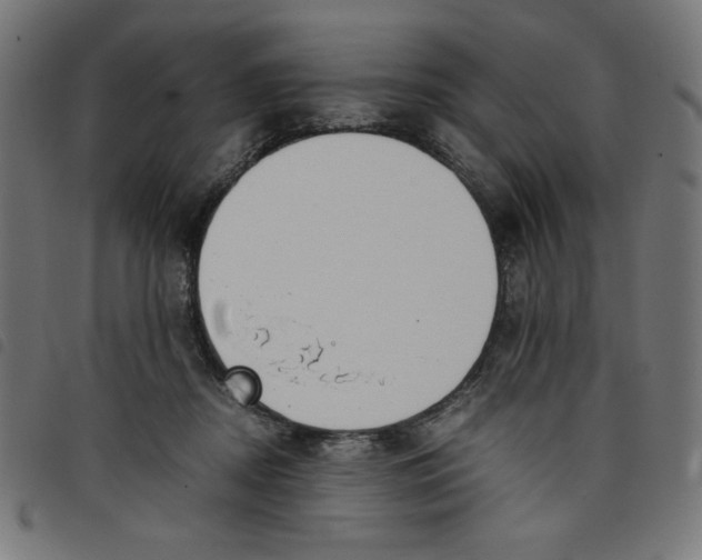 X0000098100362200804251410
