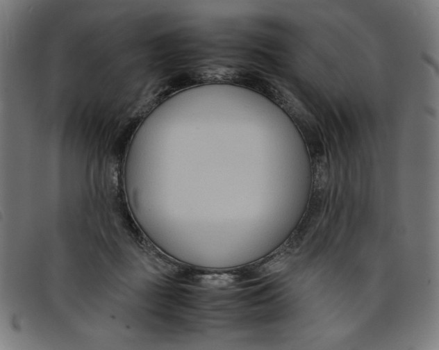 X0000098100363200804251410