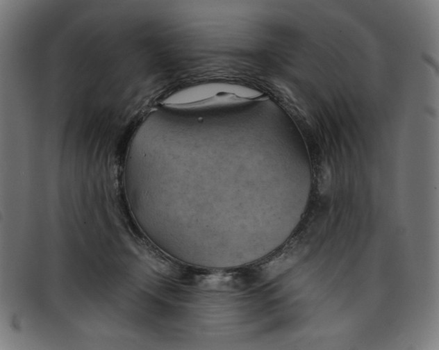 X0000098100366200804251410