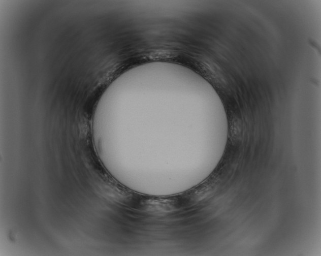 X0000098100367200804251410