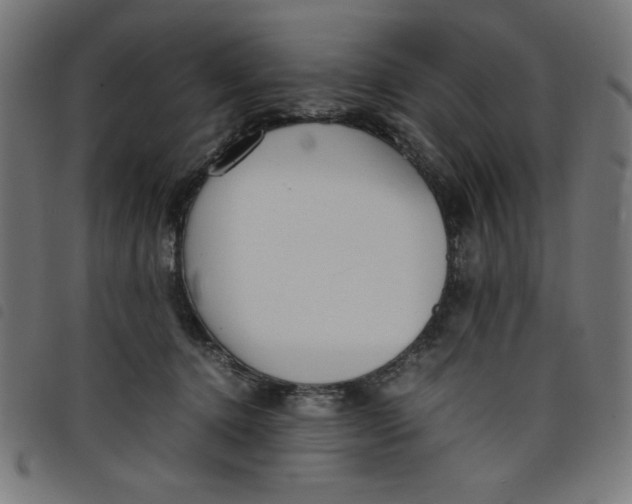X0000098100368200804251410