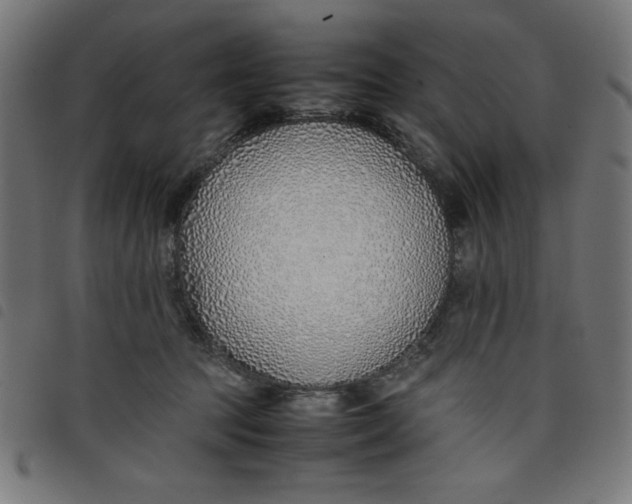 X0000098100369200804251410