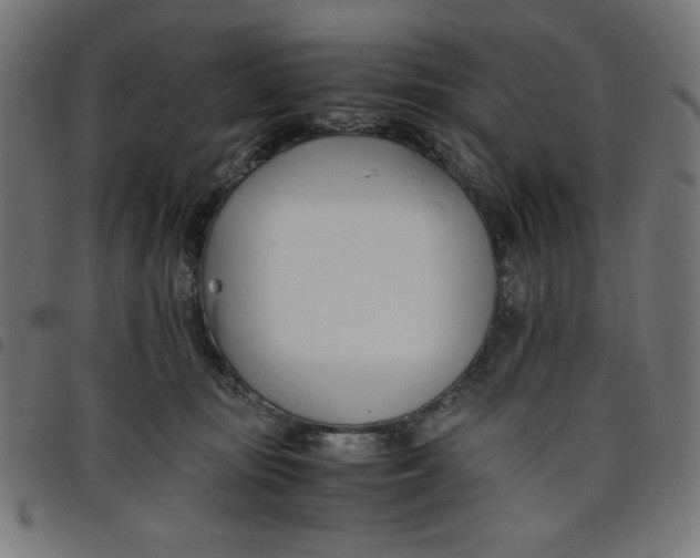 X0000098100371200804251410