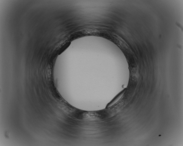 X0000098100372200804251410