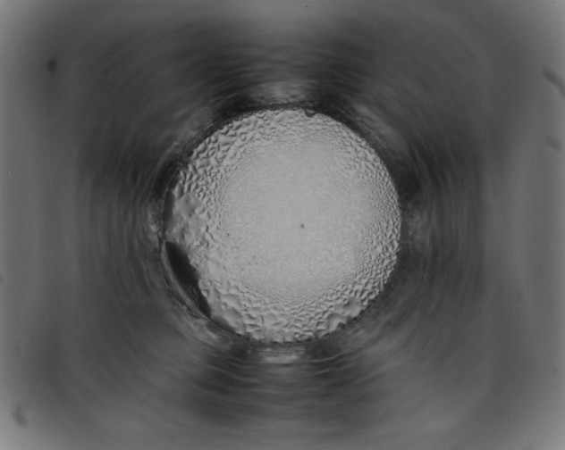 X0000098100373200804251410