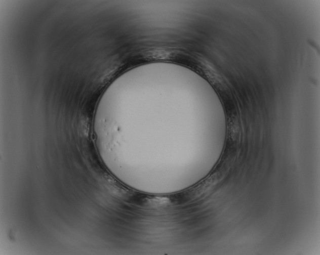 X0000098100374200804251410