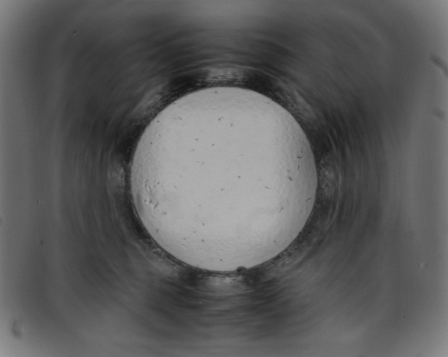 X0000098100375200804251410