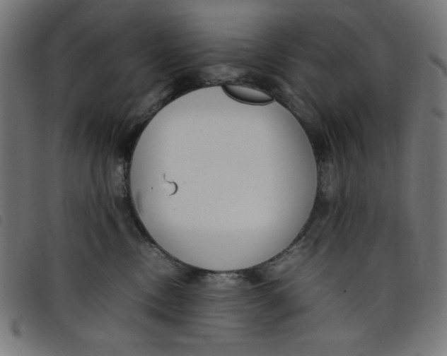 X0000098100378200804251410