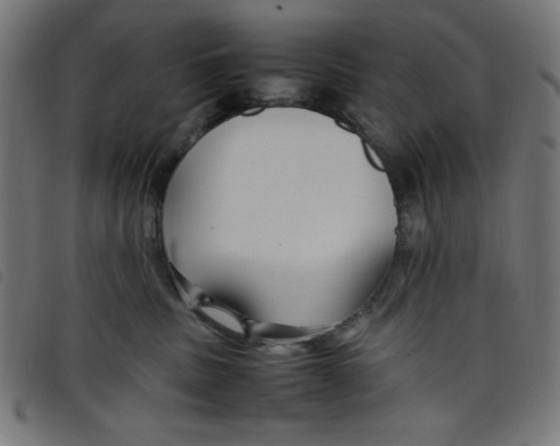 X0000098100379200804251410