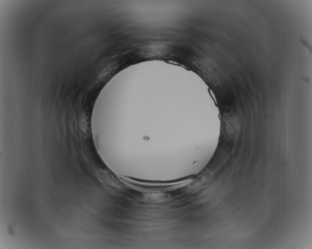 X0000098100380200804251410