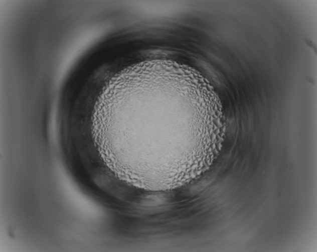 X0000098100381200804251410