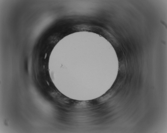 X0000098100382200804251410