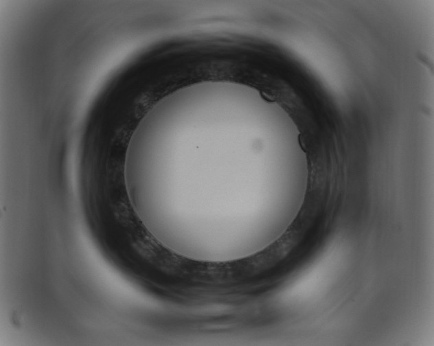X0000098100383200804251410