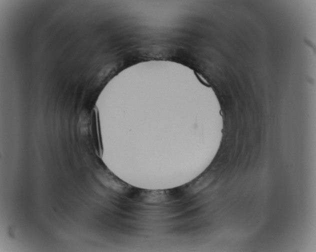 X0000098100384200804251410