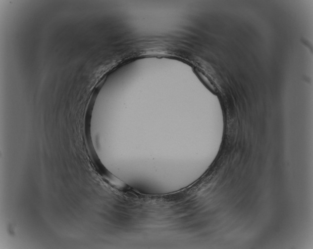 X0000098100385200804251409