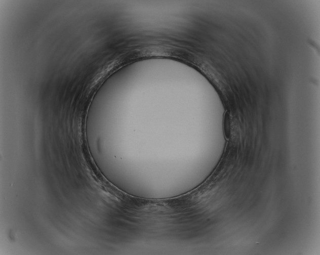 X0000098100386200804251409