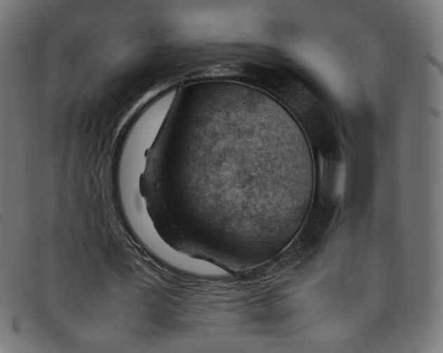 X0000098100387200804251409