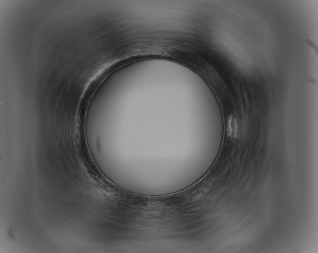 X0000098100388200804251409