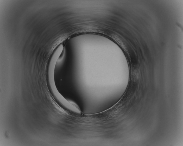 X0000098100389200804251409