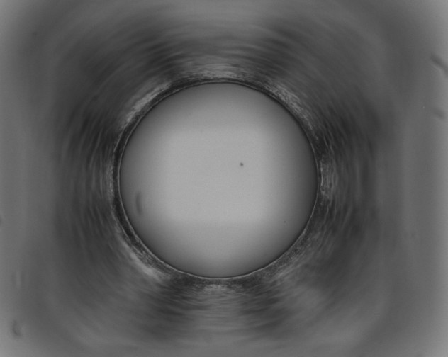 X0000098100390200804251409