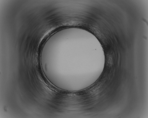 X0000098100392200804251409