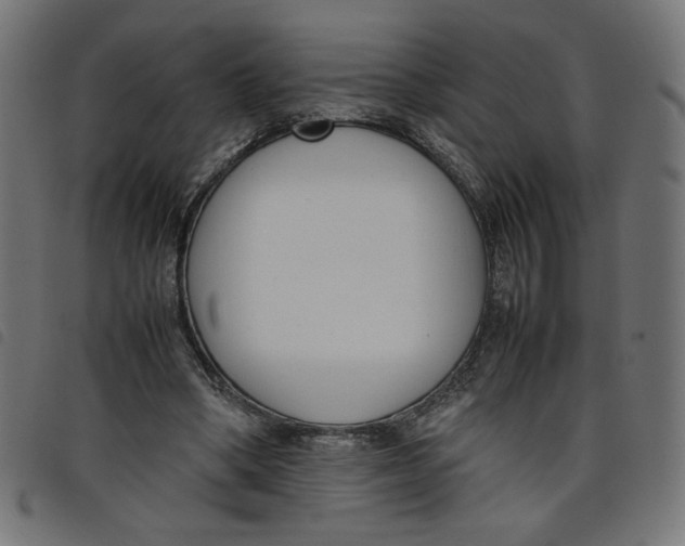 X0000098100394200804251409
