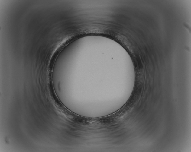 X0000098100395200804251409