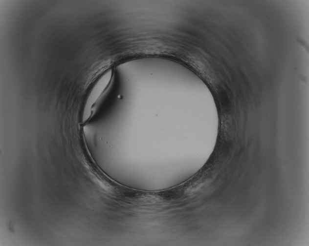 X0000098100397200804251409