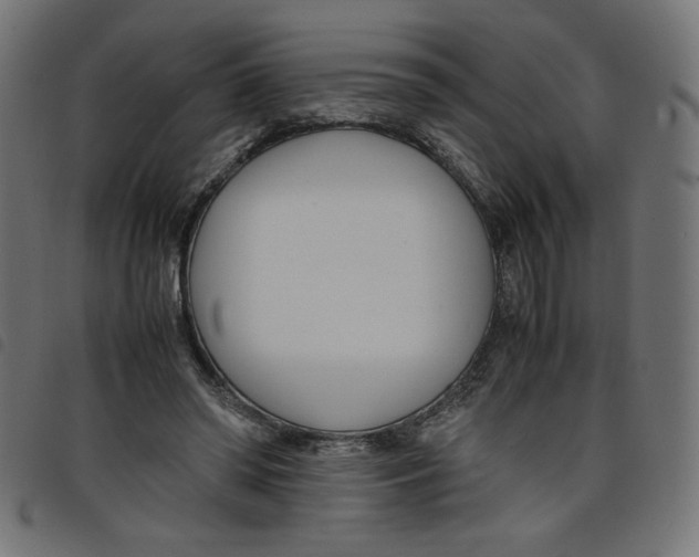 X0000098100398200804251409