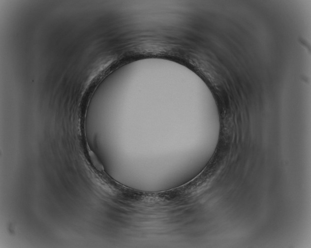 X0000098100399200804251409