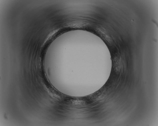 X0000098100400200804251409