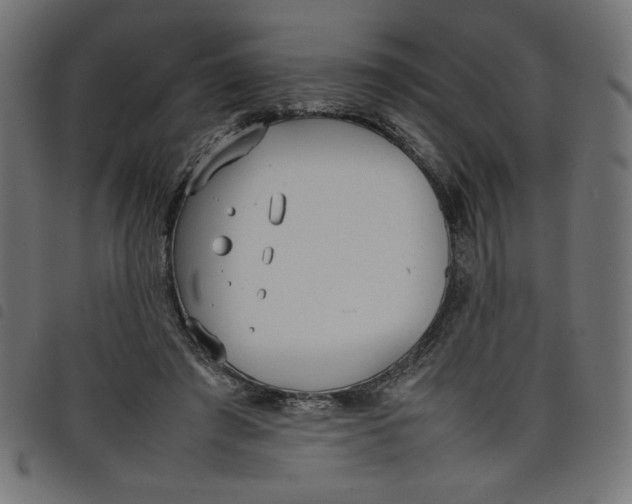X0000098100401200804251409