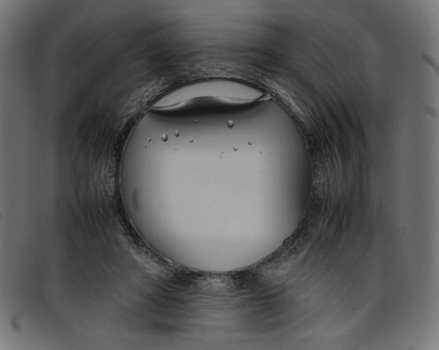 X0000098100402200804251409