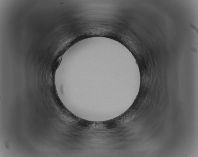 X0000098100403200804251409